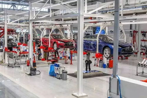 特斯拉超级工厂落户上海 计划每年生产50万辆电动汽车